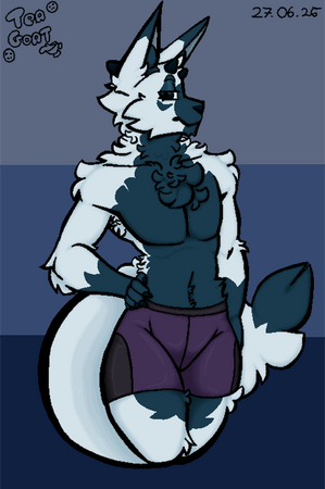 Outlined + Coloured